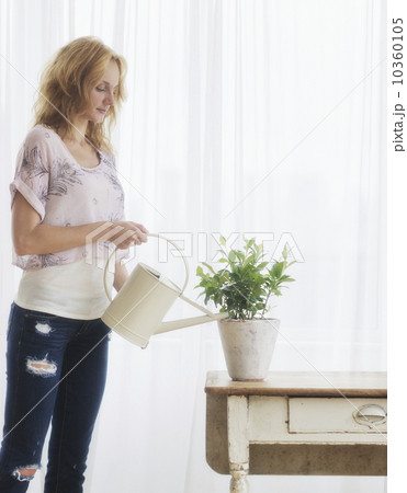 Woman watering plant at home 10360105