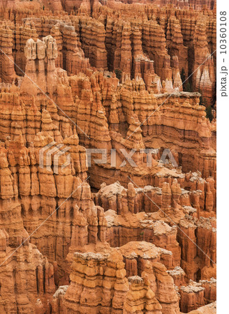 Bryce Canyon 10360108