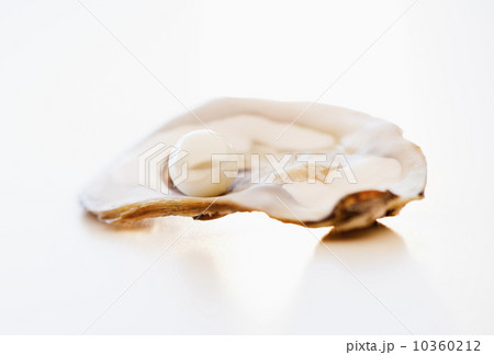 Studio shot of pearl in oyster 10360212