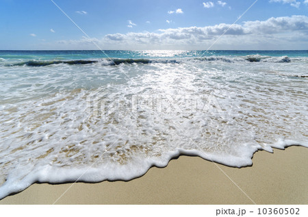 Beach 10360502