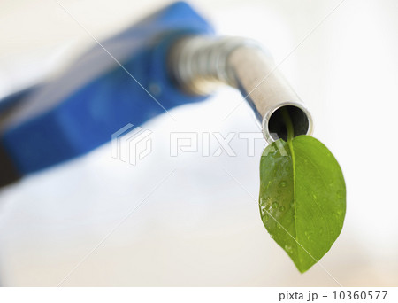 Fuel nozzle with green leaf Fuel nozzle with green leaf 10360577