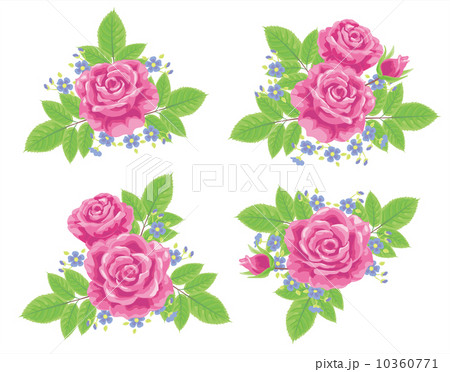 薔薇 薔薇 10360771