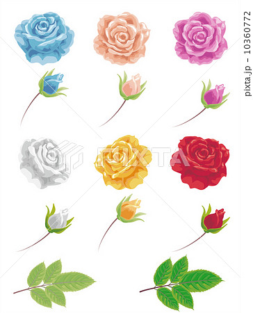 薔薇のパーツのイラスト素材 10360772 Pixta
