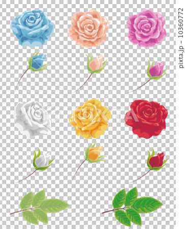 玫瑰零件 玫瑰零件 10360772