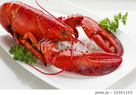 Cooked lobster 10361103