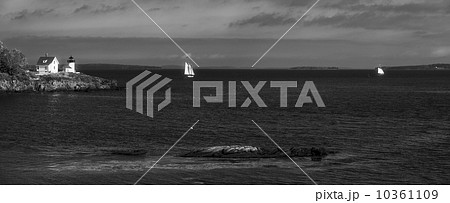 Curtis island light 10361109