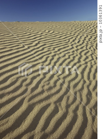 Desert sand at Death Valley, California Desert sand at Death Valley, California 10361391