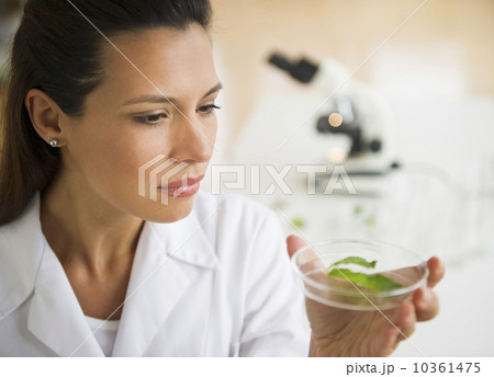 Female scientist examining sample Female scientist examining sample 10361475