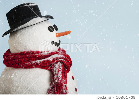 Studio shot of snowman 10361709