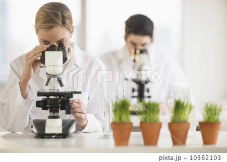 Scientists doing research on microscopes Scientists doing research on microscopes 10362103