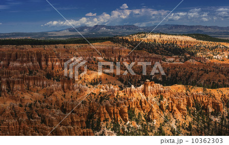 Bryce Canyon 10362303