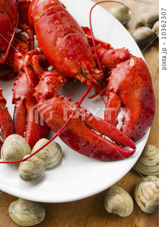 Cooked lobster 10362307