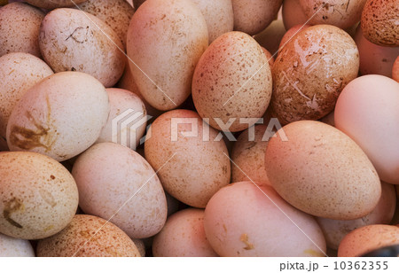 Fresh eggs 10362355