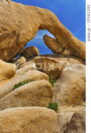 USA, California, Joshua Tree National Park, Arch rock 10362392