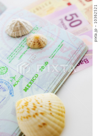 Studio shot of passport with seashells 10362521