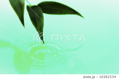 Droplet falling from green leaf into water 10362534