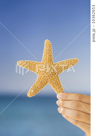 Close up of woman's hand holding starfish Close up of woman's hand holding starfish 10362653