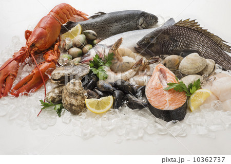 Choice of seefood, Studio shot 10362737