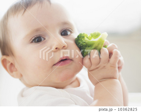 Baby girl (12-17 months) holding broccoli 10362825