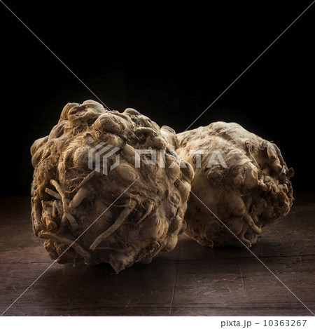 Studio shot of celeriac 10363267