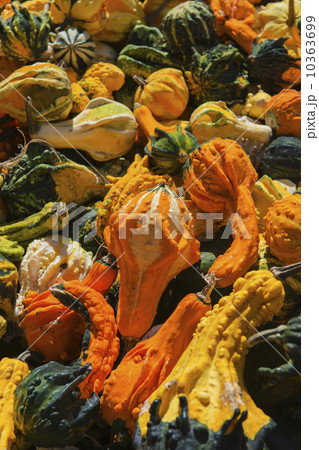 Heap of gourds 10363699