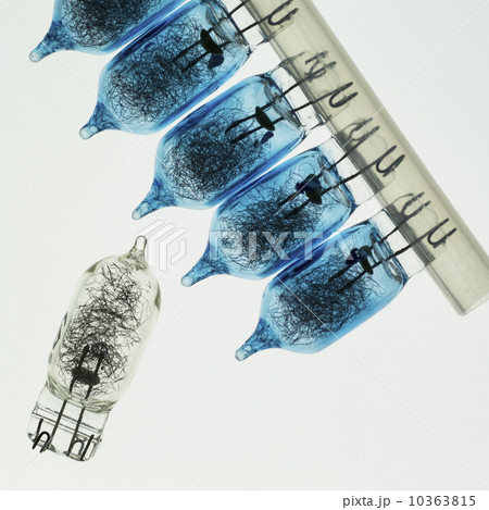 Studio shot of old light bulbs 10363815