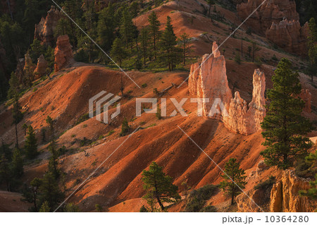 Bryce Amphitheater 10364280
