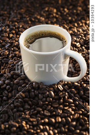 Coffee and coffee beans, studio shot 10364293