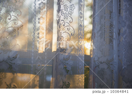 Window curtain 10364841
