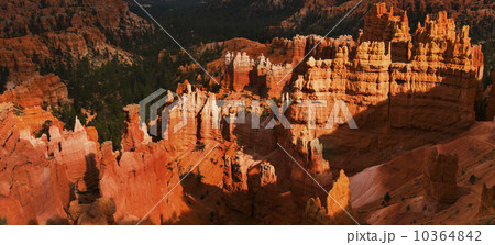 Bryce Canyon 10364842