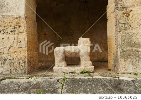 Mayan ruins 10365025