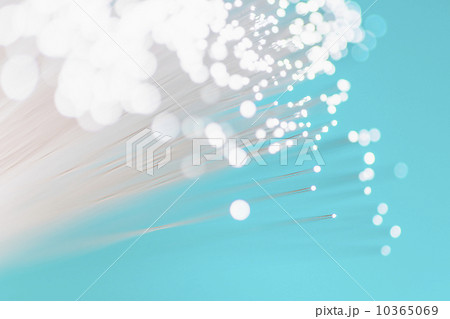 Fiber optic glowing, studio shot 10365069