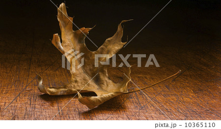 Dry leaf on wooden table Dry leaf on wooden table 10365110