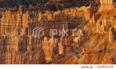 Bryce Amphitheater 10365249