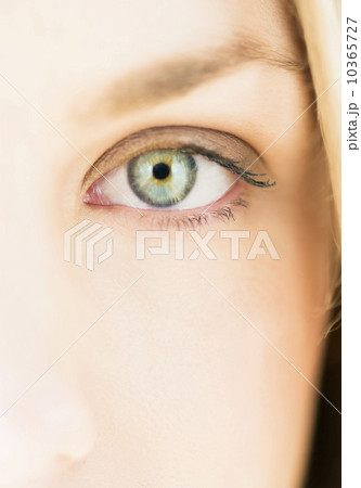Close up of females eye Close up of females eye 10365727