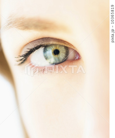 Close up of females eye 10365819