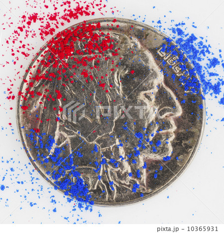 Studio shot of dollar coin 10365931
