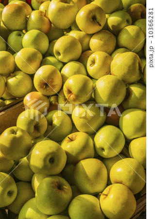 Heap of apples Heap of apples 10366281