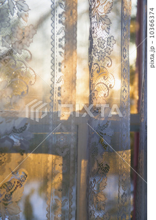 Window curtain Window curtain 10366374