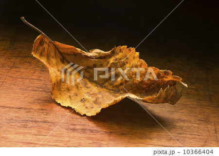 Dry leaf on wooden table 10366404