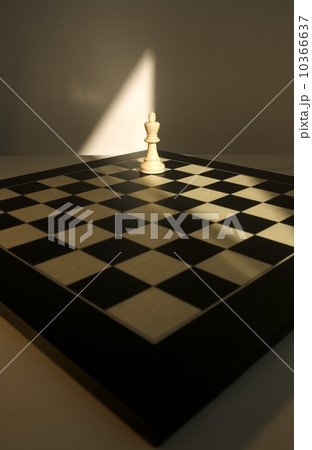 Chess board still life 10366637