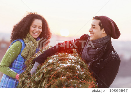 Couple carrying christmas tree 10366647