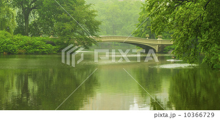 Bridge in central park 10366729
