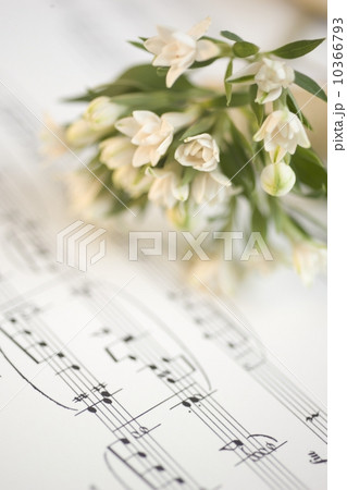 Still life of flowers and sheet music 10366793