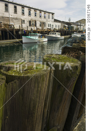 Fishing boats in harbor Fishing boats in harbor 10367146