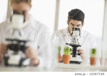 Scientists doing research on microscopes Scientists doing research on microscopes 10367599