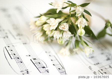 Still life of flowers and sheet music 10367605