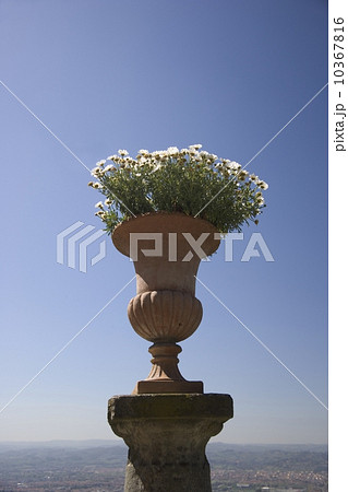 Flower pot Florence Italy 10367816