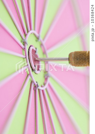 Closeup of dart point in bulls eye 10368424