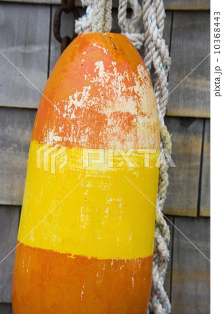 Still life of buoy 10368443